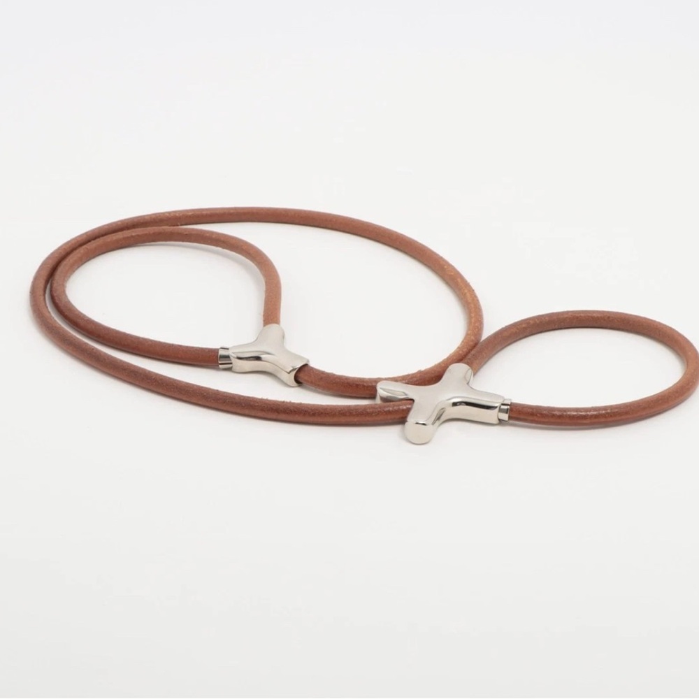The Hermes Herculide Pet Leash & Collar